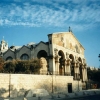 jerusalem mount olive (13)