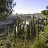 jerusalem mount olive (3)
